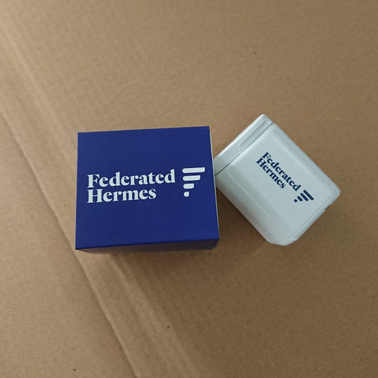 Federated Hermes Mondo Travel Adaptor